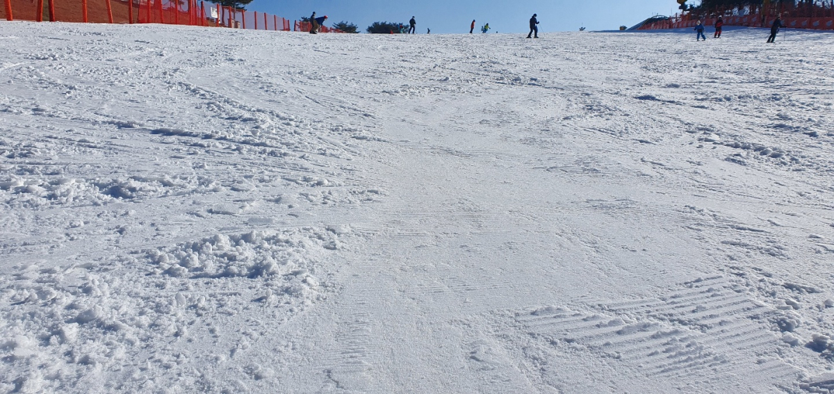 1639972805097-7.jpg