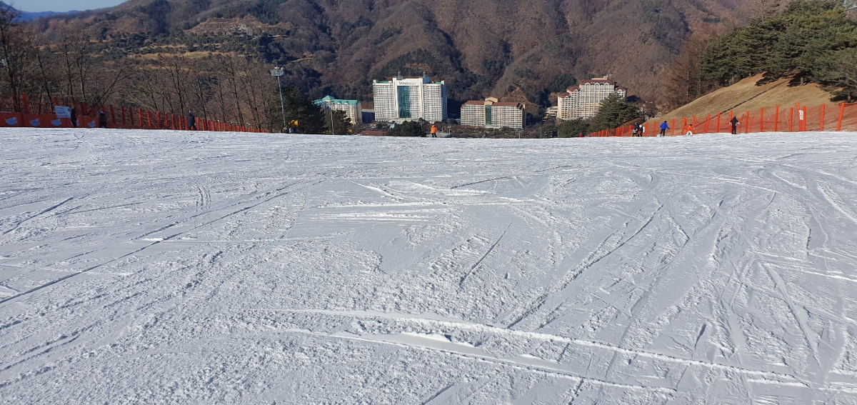 1640923647207-1.jpg