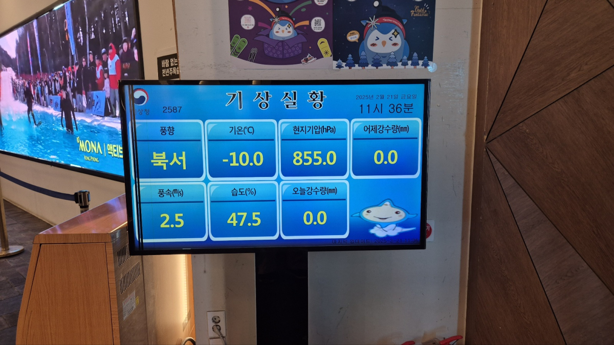 1740128385163-5.jpg