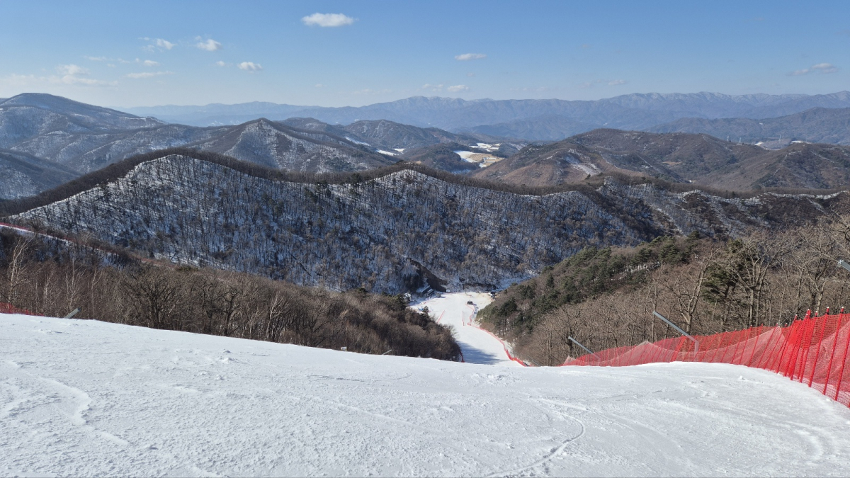 1740128385163-16.jpg