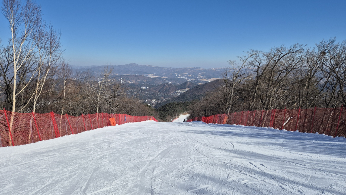 1740128385163-4.jpg