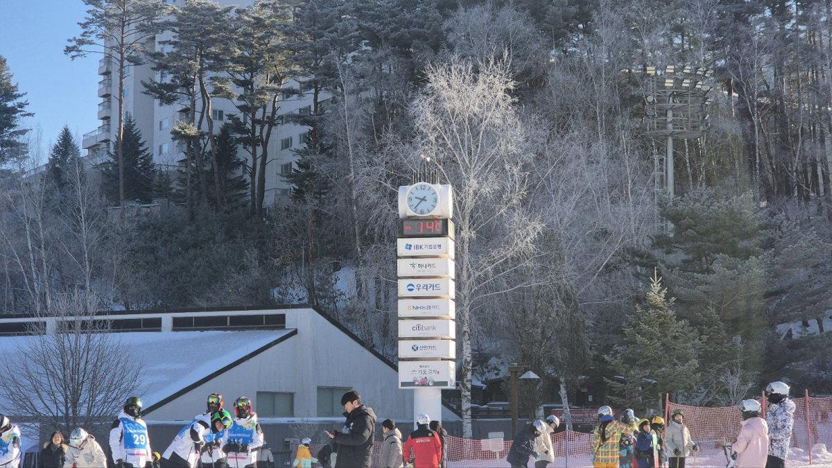 1737120266845-27.jpg