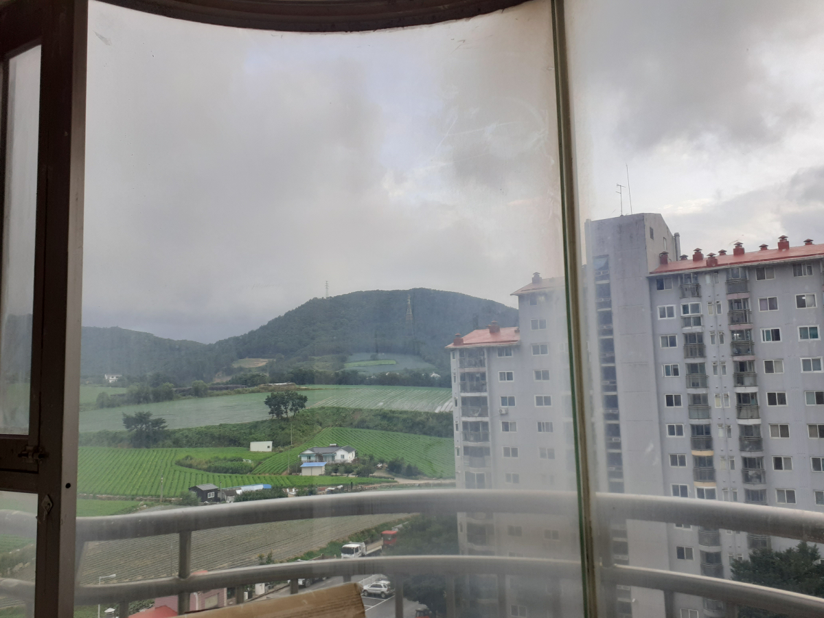 KakaoTalk_20210819_024929543.jpg