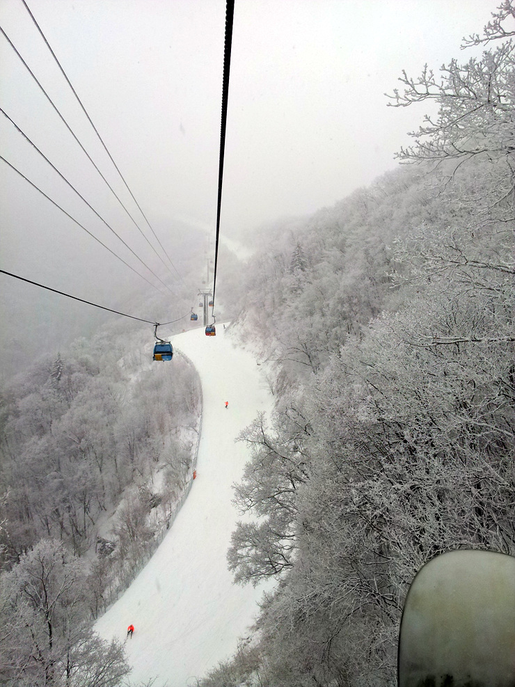 20120305_130320.jpg