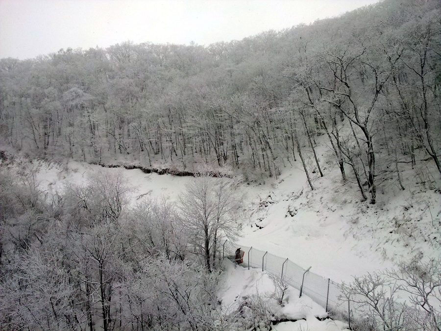 20120305_130434.jpg