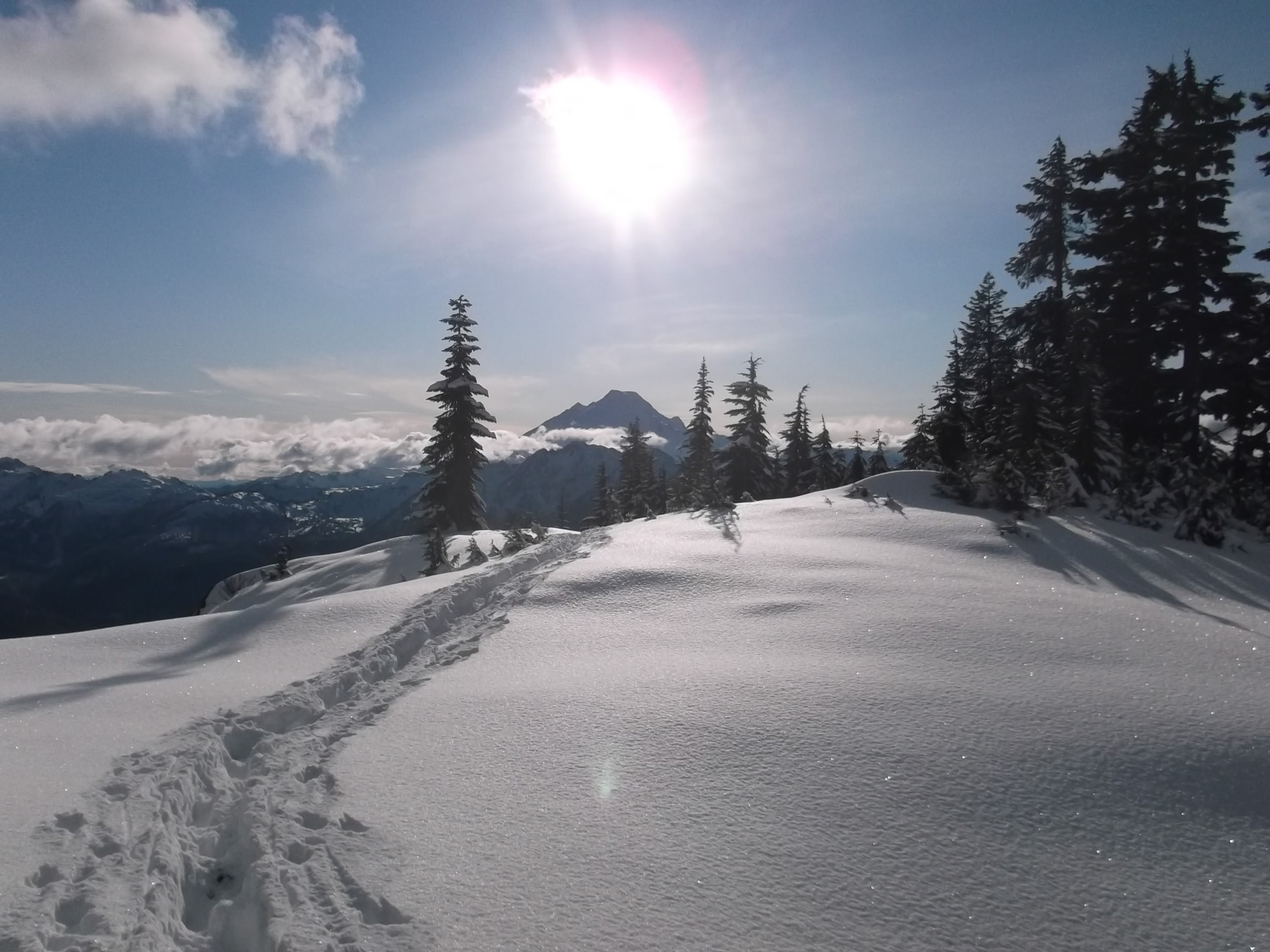 DSCF0940.JPG