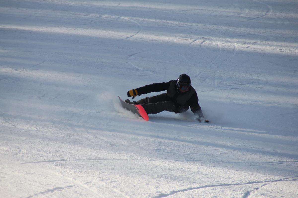 IMG_3146.jpg