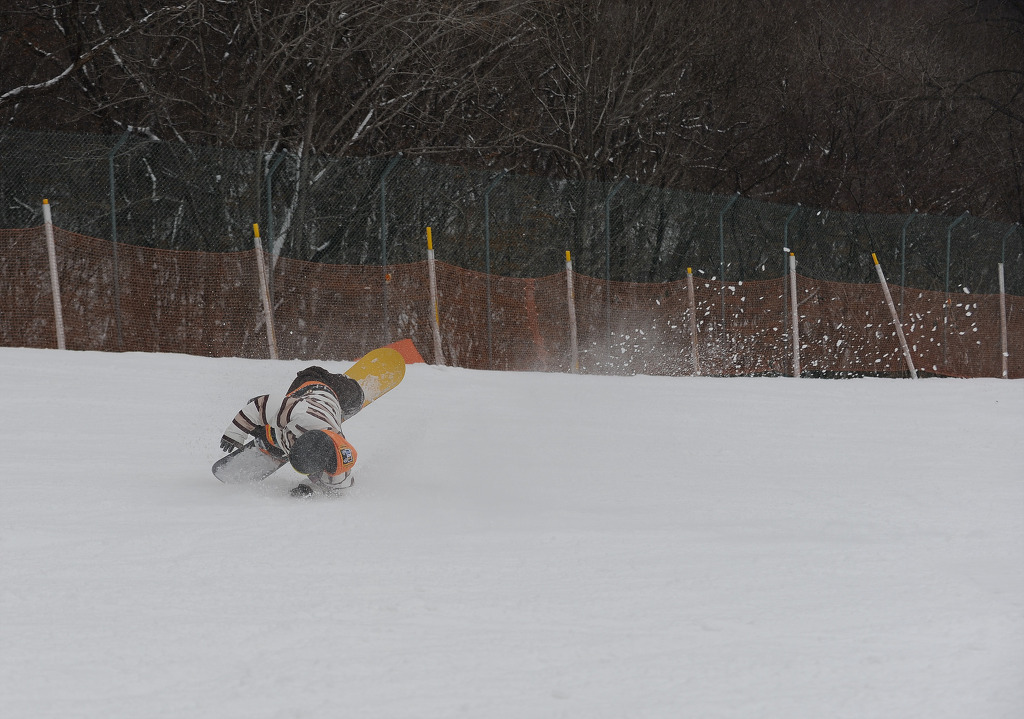 DSC_2424.jpg