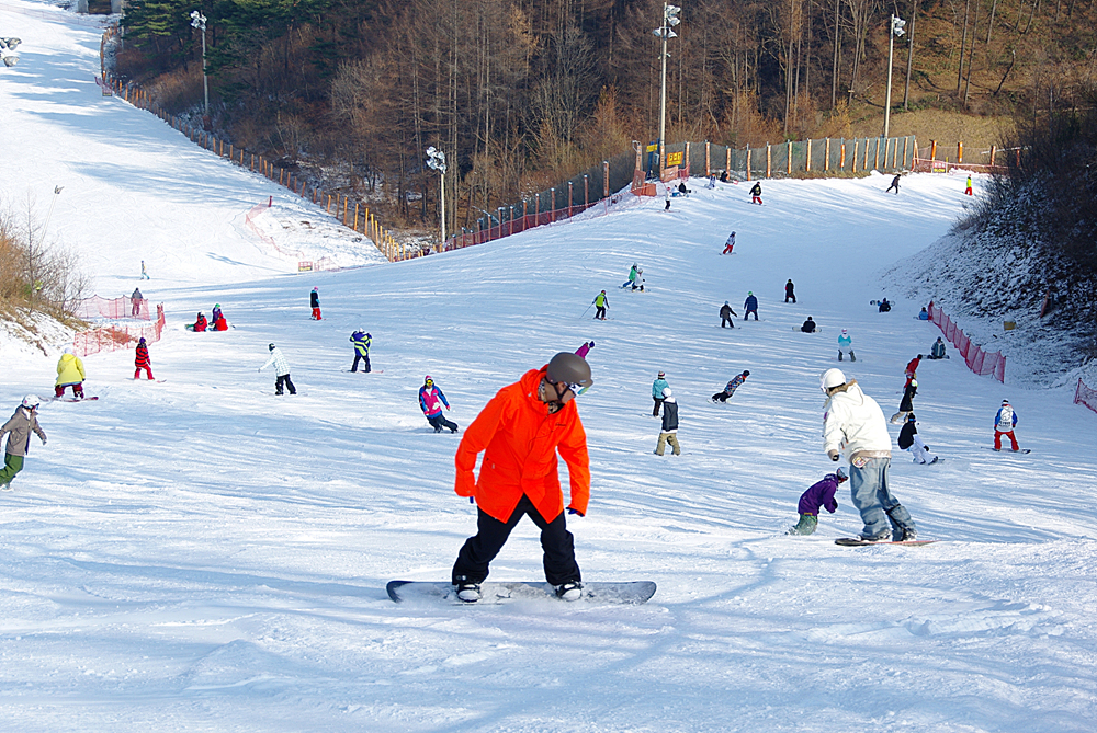20101120151624524IDW9.jpg