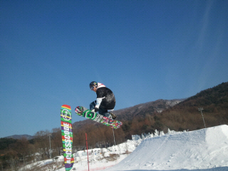 1_1_2011-01-20 14.36.02.jpg