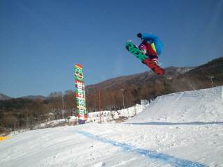 1_1_2011-01-20 14.36.47.jpg