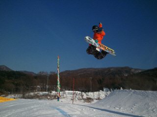 1_1_2011-01-20 14.38.31.jpg