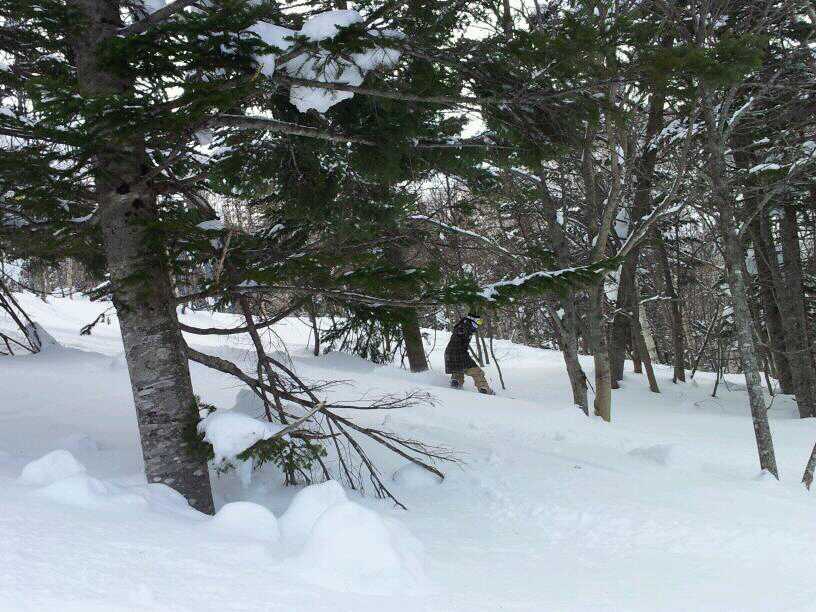 1331558902818.jpg : 샷뽀르   트리런 한컷 올려 봅니다.^^