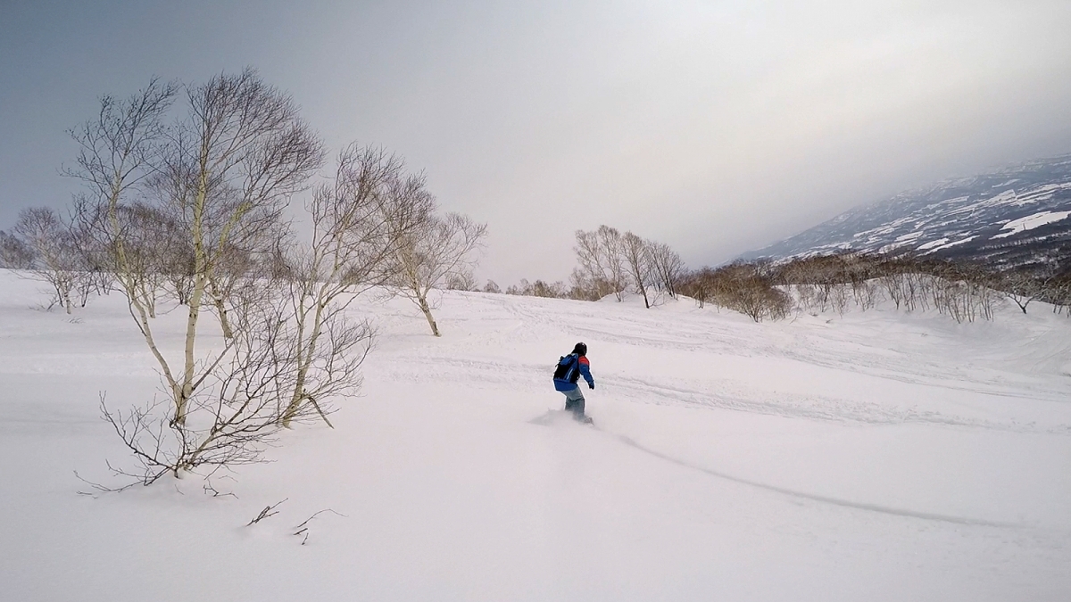 1415NISEKO_6.jpg