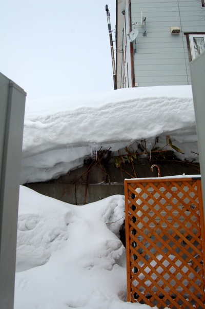 DSC_0102.jpg