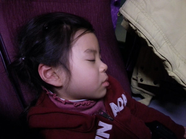 reee-20121227_194519.jpg