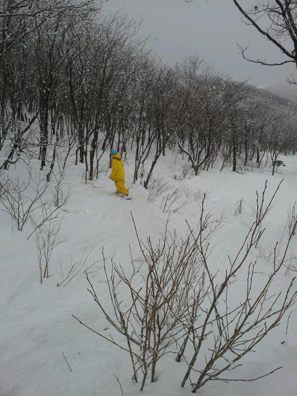 33 019.jpg : 간만에