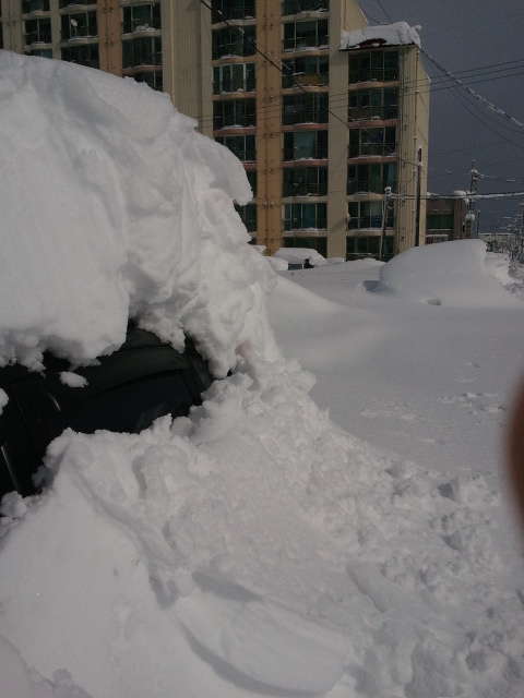 2011-02-12 13.42.53.jpg