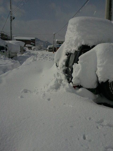 2011-02-12 13.43.06.jpg