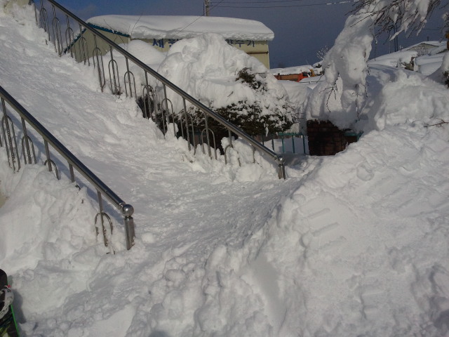 2011-02-12 14.36.26.jpg