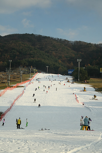 IMG_5167.jpg