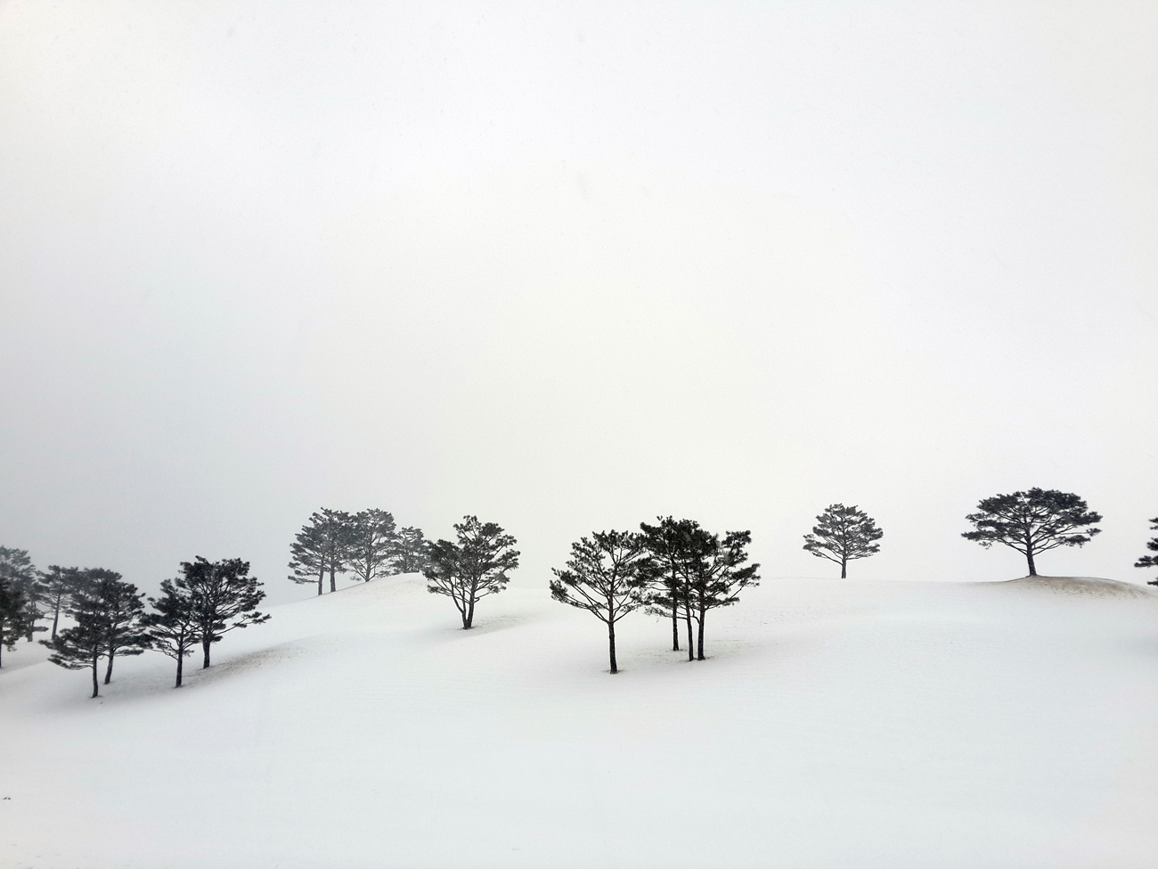 20131212_151130.jpg