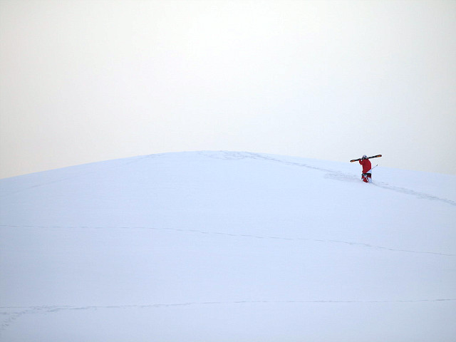 P2174360.jpg