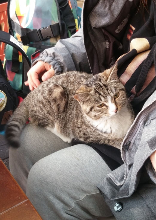 20150112_133226.jpg