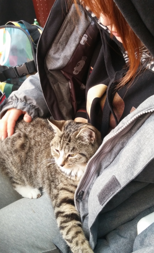 20150112_133140.jpg