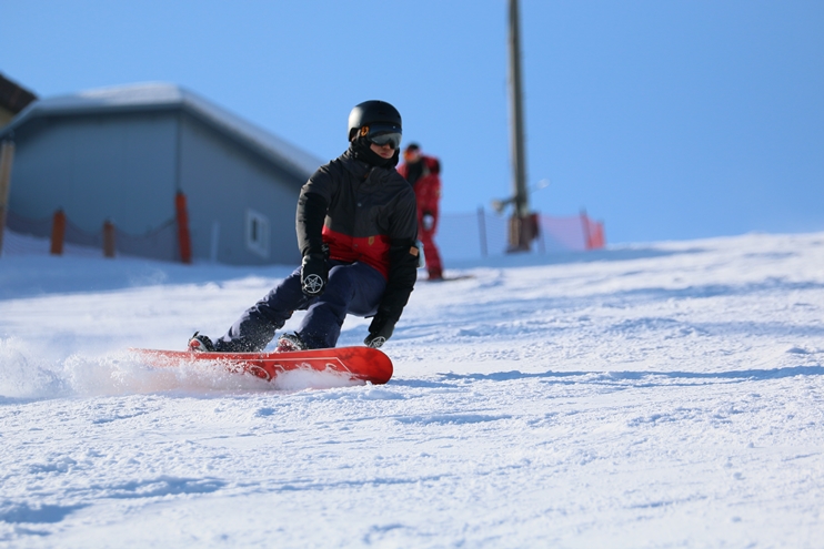 IMG_3979.JPG