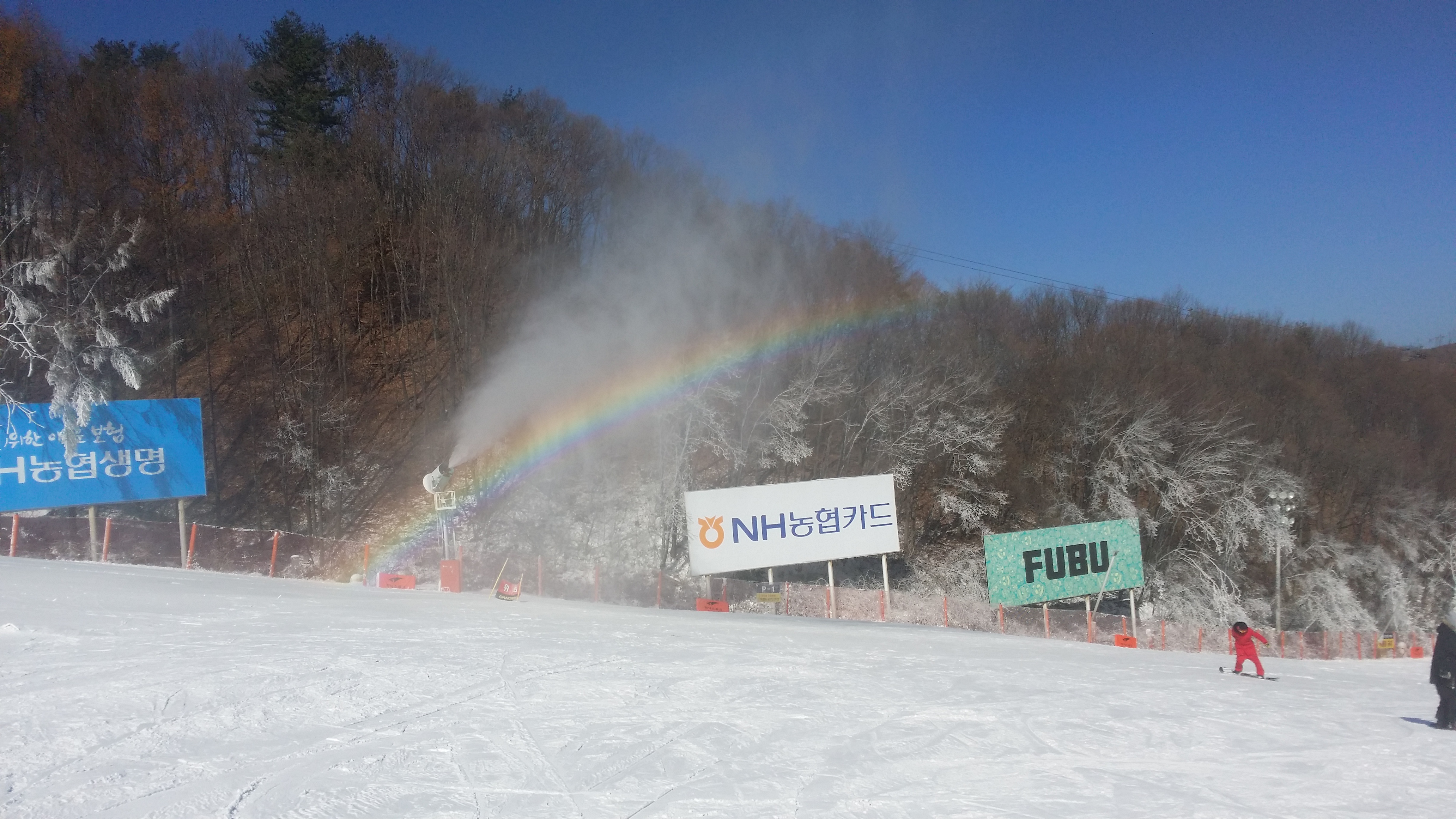 20141113_122702.jpg
