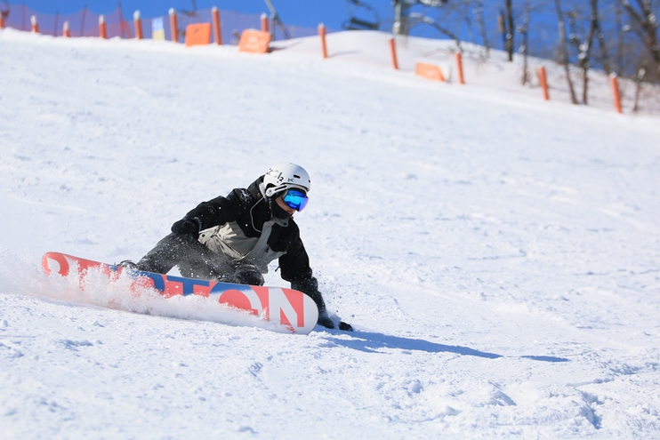 IMG_6586.JPG
