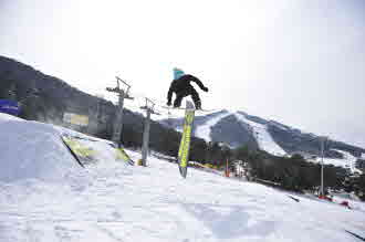 20110216 (37).jpg