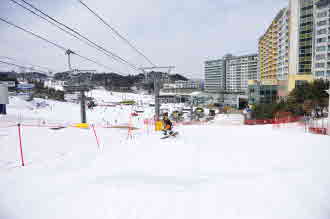 20110216 (7).jpg