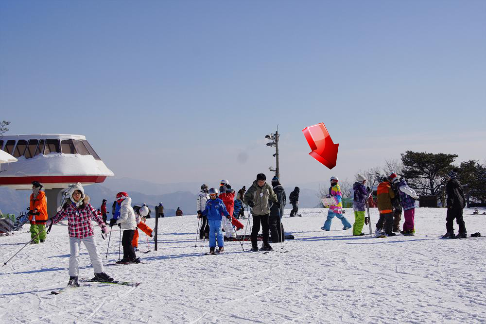 phoenix park photo 01.jpg