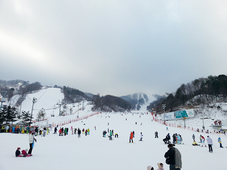 KakaoTalk_6fcf64e349ff0722.jpg