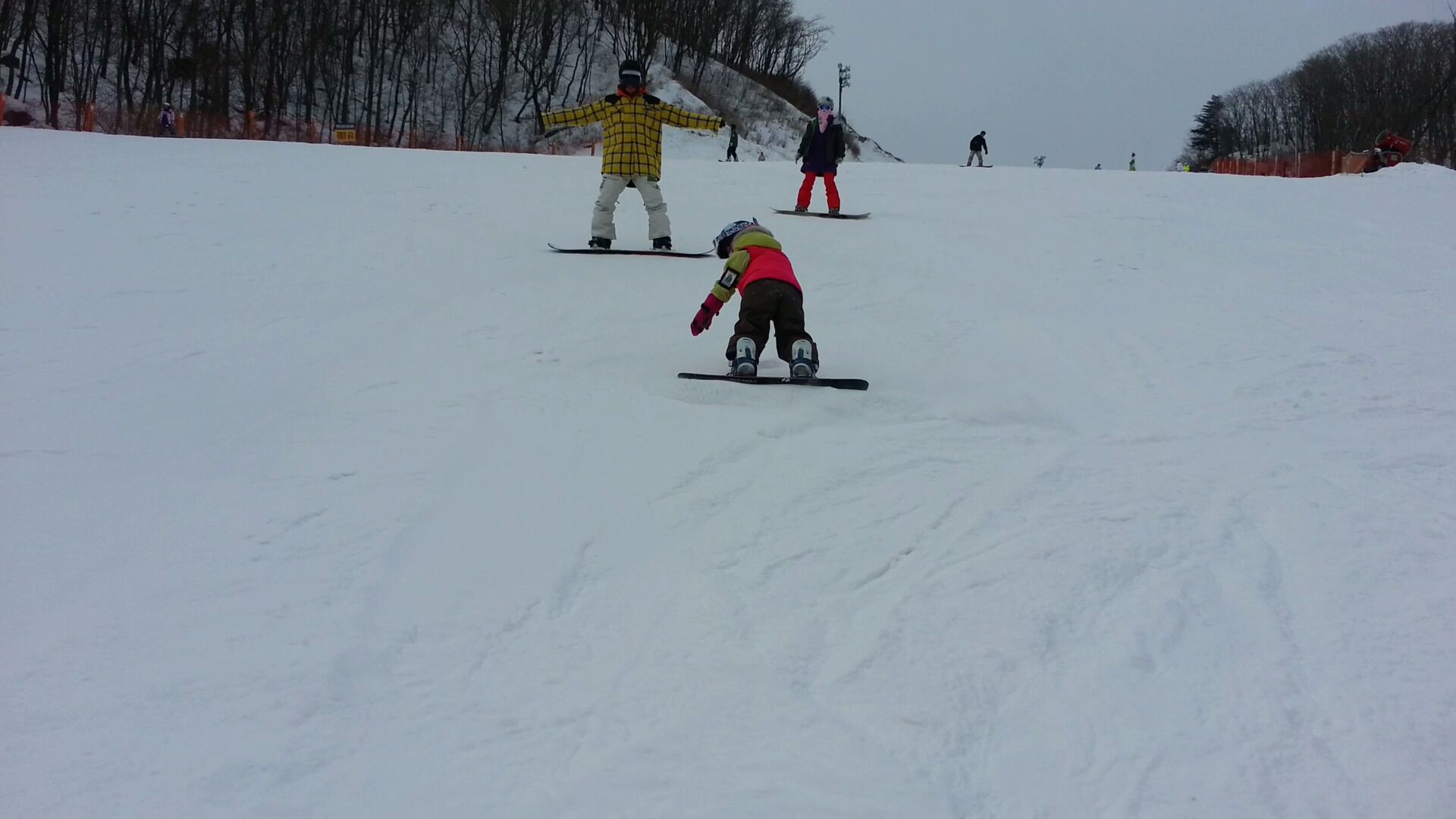 20130203_110158_441314.jpg