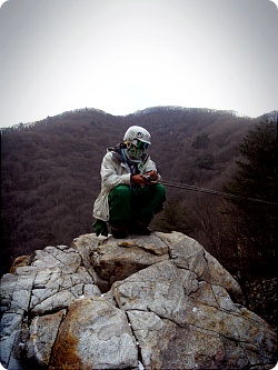 SDC10434.jpg