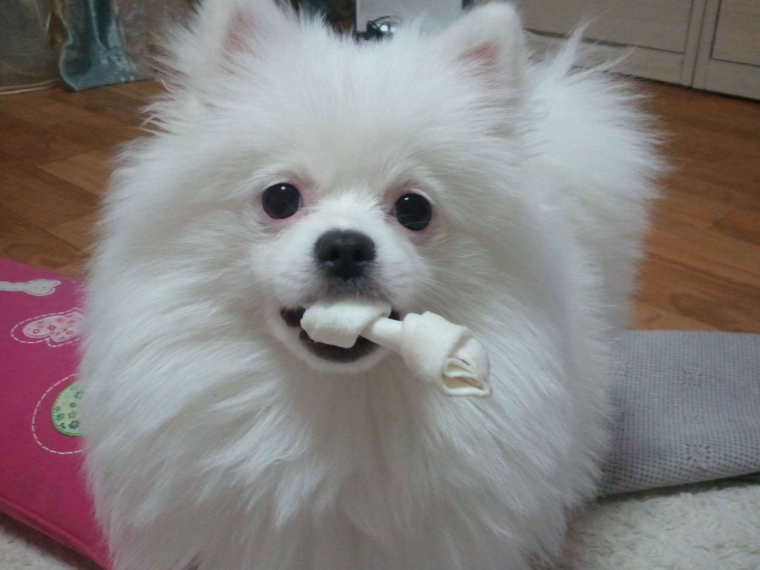 2010-10-25 22.25.30.jpg