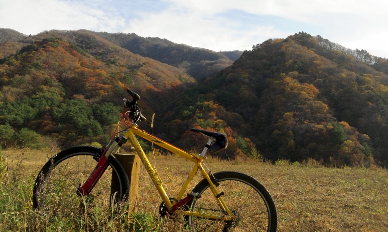 크기변환_2011-10-26 15.33.18.jpg