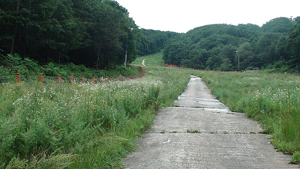 DSC00034.jpg