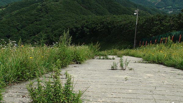 DSC00068.jpg