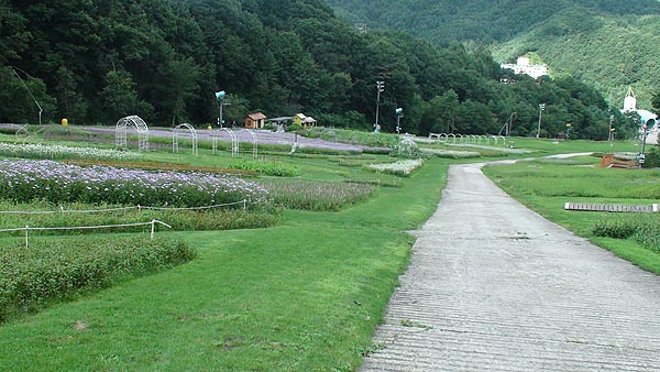 DSC00112.jpg