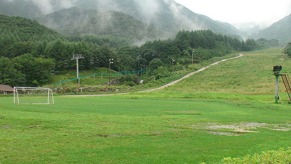 DSC00117.jpg