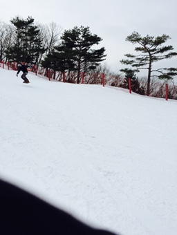 P20141223_132826890_0BD51C9C-800C-4893-B166-6C350BFF124F.jpg