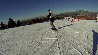 2.gif