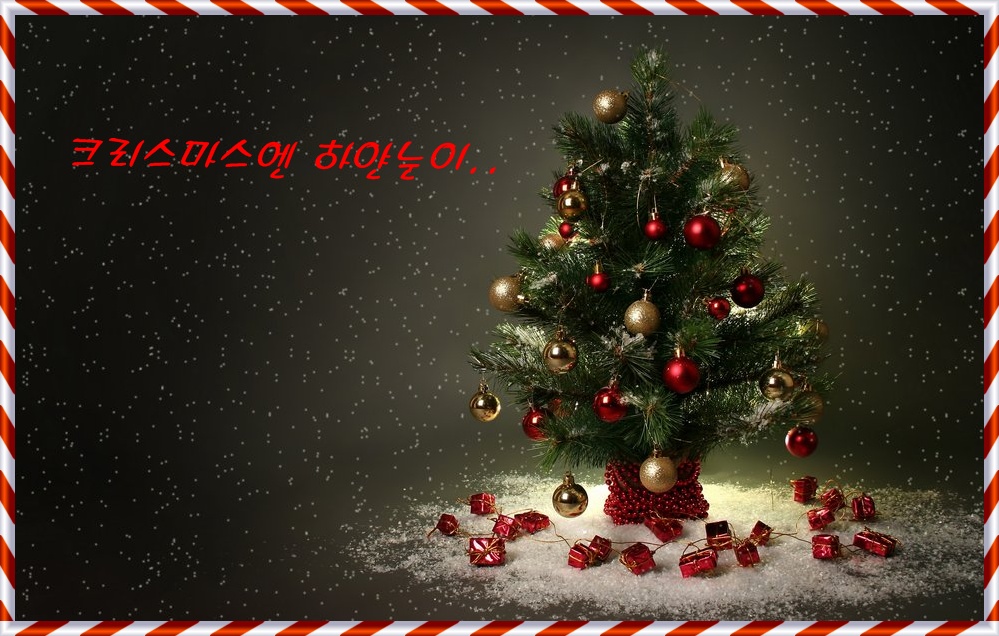 1044362__christmas-tree_p.jpg