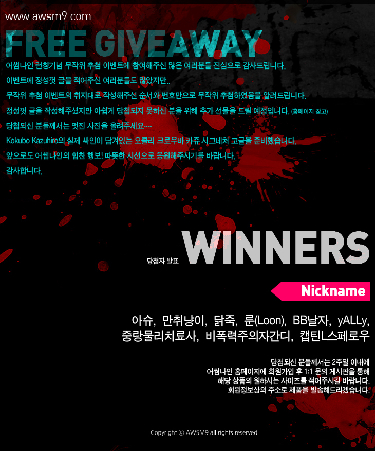 101211_winner.jpg