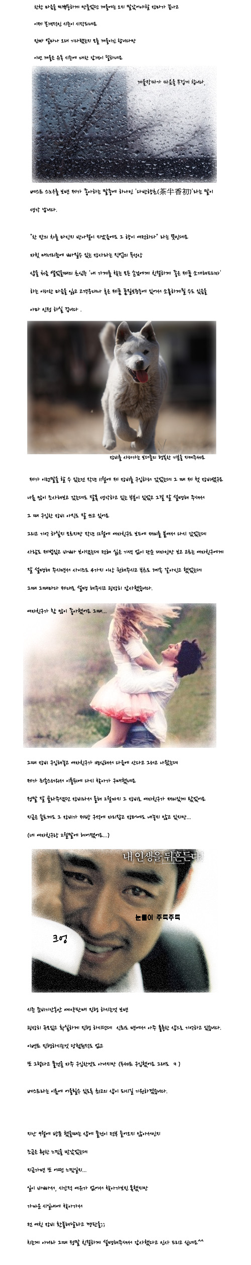 베스트.jpg