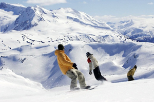 whistler_0.jpg